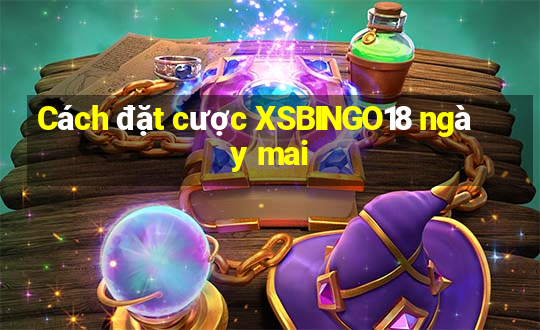 Cách đặt cược XSBINGO18 ngày mai