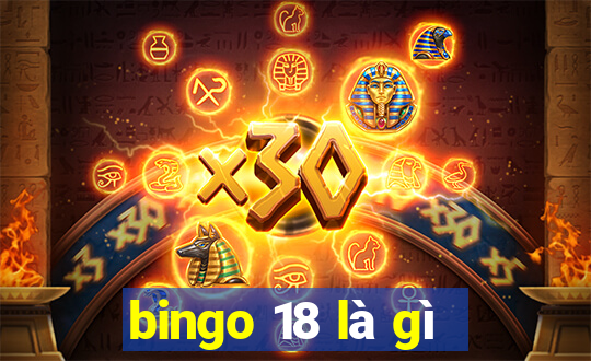 bingo 18 là gì