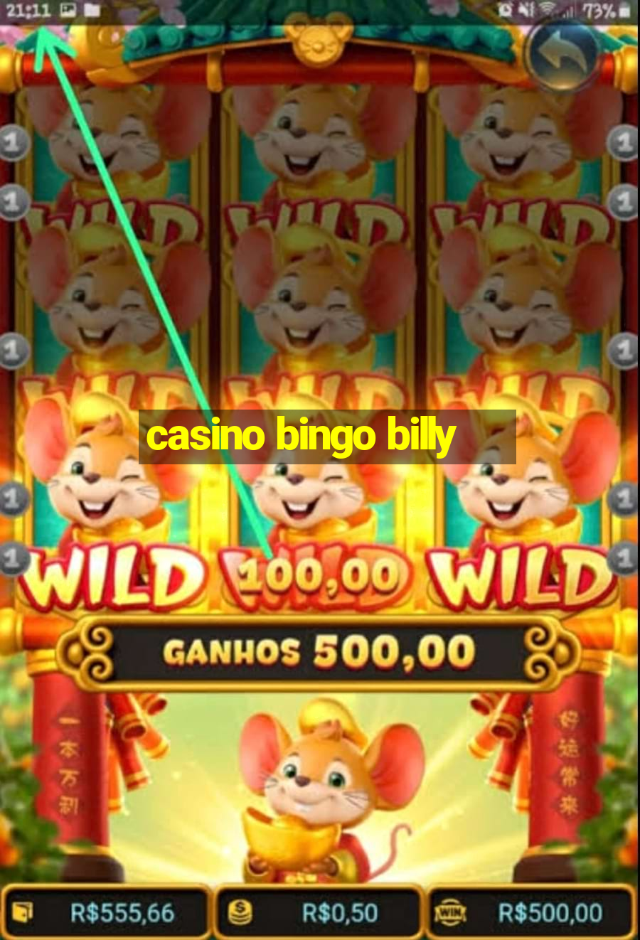 casino bingo billy