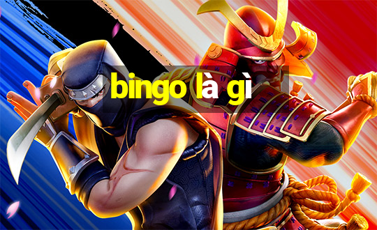 bingo là gì