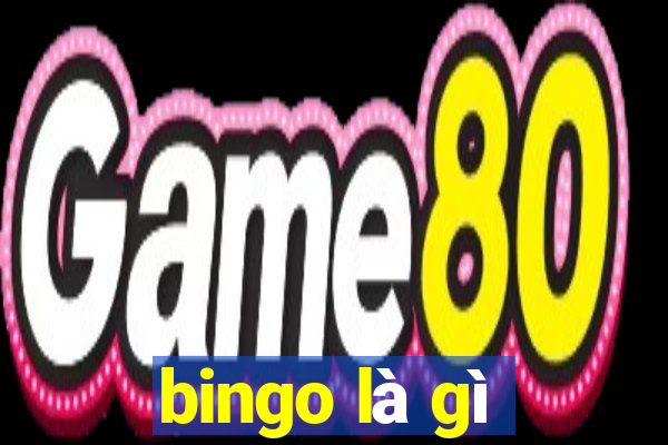 bingo là gì