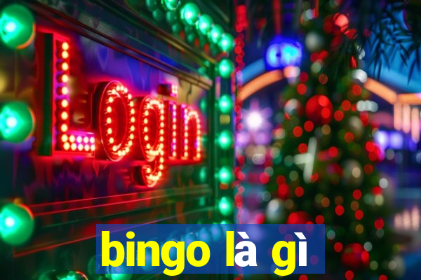 bingo là gì