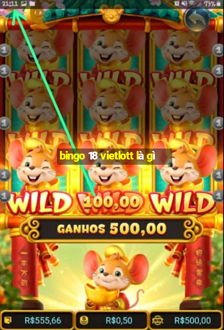 bingo 18 vietlott là gì