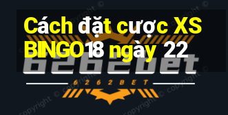 Cách đặt cược XSBINGO18 ngày 22